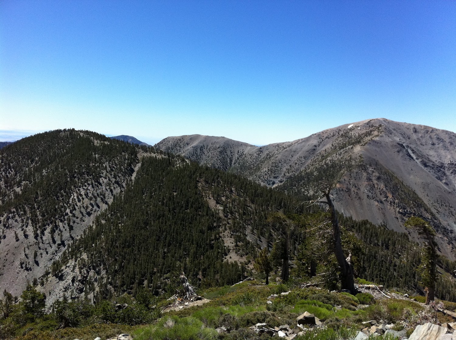 Mount Baldy's north flank viewed from Pine Peak near Los Angeles, California.